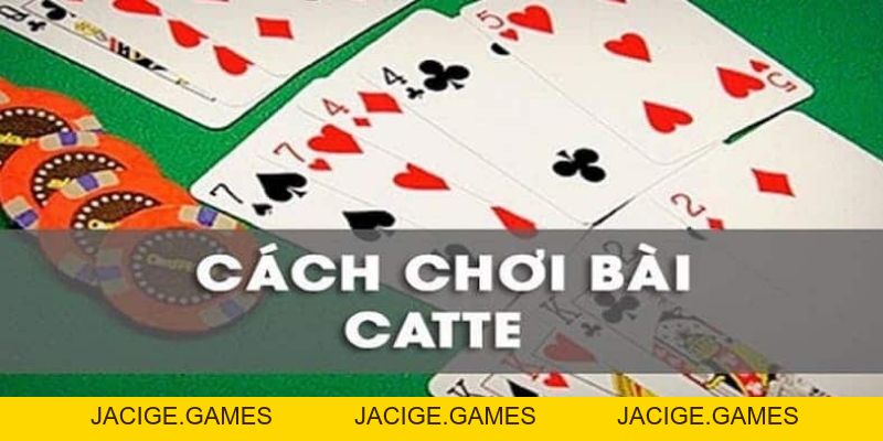 Cách Chơi Catte Đơn Giản Cùng Mẹo Hay Được 789bet Chia Sẻ - 789b.mobi