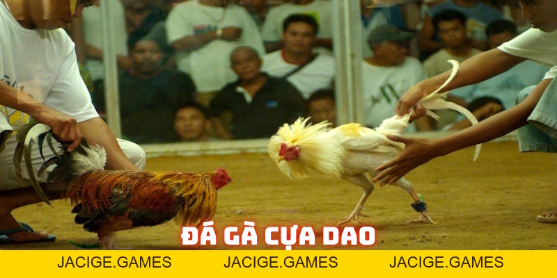 Đá gà cựa dao 789Bet: Đỉnh cao đối kháng nhà cái năm 2026 - 789b.mobi