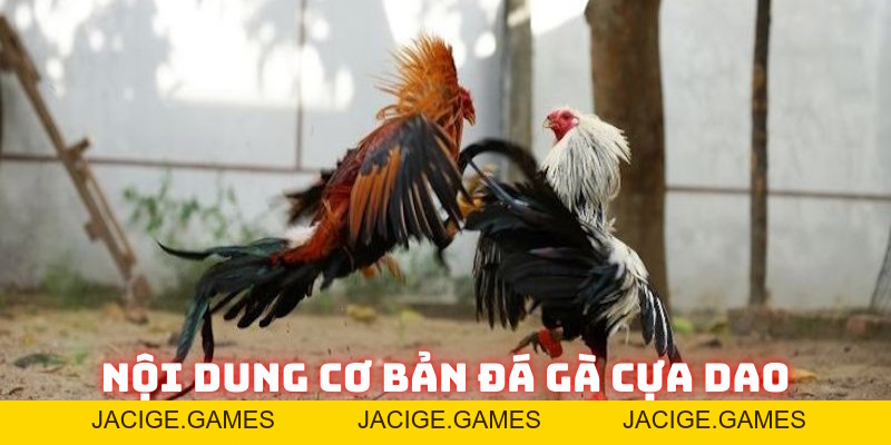 Đá gà cựa dao 789Bet: Đỉnh cao đối kháng nhà cái năm 2026 - 789b.mobi