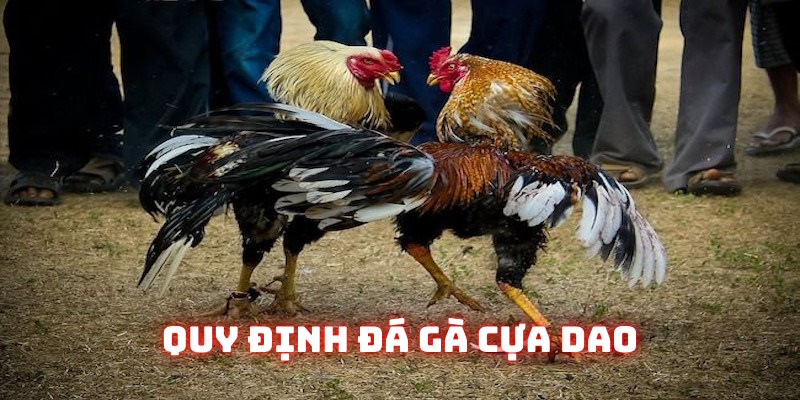 Đá gà cựa dao 789Bet: Đỉnh cao đối kháng nhà cái năm 2026 - 789b.mobi