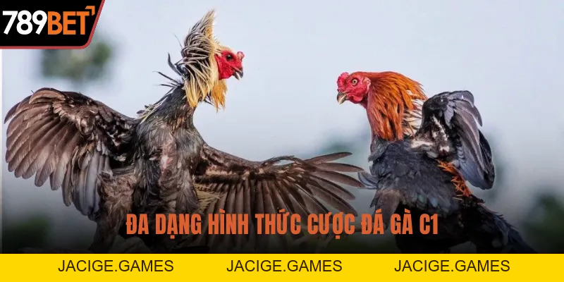 Đá Gà C1 Kịch Tính - Chiến Thắng Hấp Dẫn Chỉ Có Tại 789BET