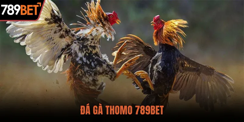 Tin Tức - 789b.mobi