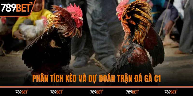 Đá Gà C1 Kịch Tính - Chiến Thắng Hấp Dẫn Chỉ Có Tại 789BET
