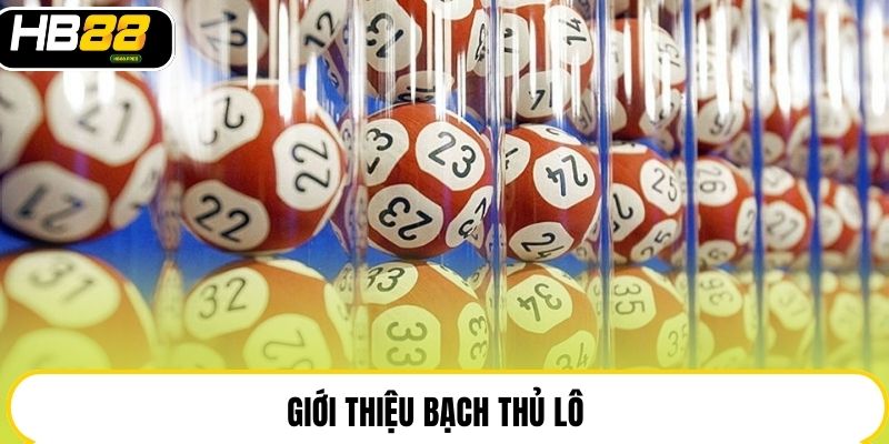 Bạch Thủ Lô - Toàn Tập Kiến Thức Và Kinh Nghiệm Tại HB88