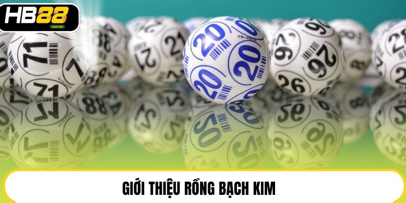 Rồng Bạch Kim - Chuyên Mục Gợi Ý Lô Đề Uy Tín Tại HB88