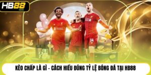 Thể Thao HB88 - Chuyên Mục Giải Trí Bùng Nổ Nhất 2026