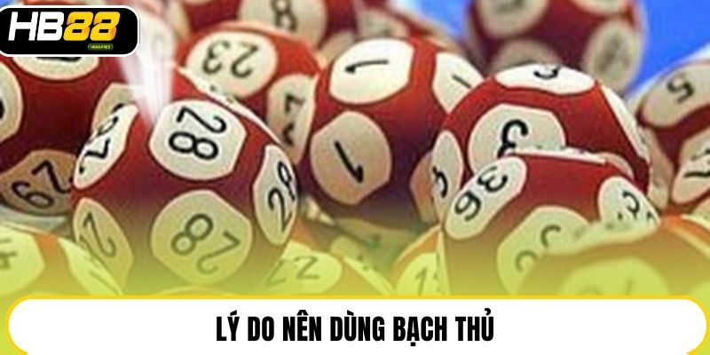 Bạch Thủ Lô - Toàn Tập Kiến Thức Và Kinh Nghiệm Tại HB88