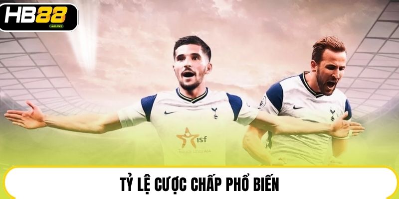 Kèo Chấp Là Gì - Cách Hiểu Đúng Tỷ Lệ Bóng Đá Tại HB88